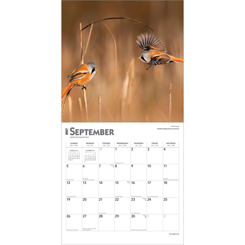 Songbirds | 2027 12 x 24 Inch (Hanging) Monthly Square Wall Calendar | Foil Stamped Cover