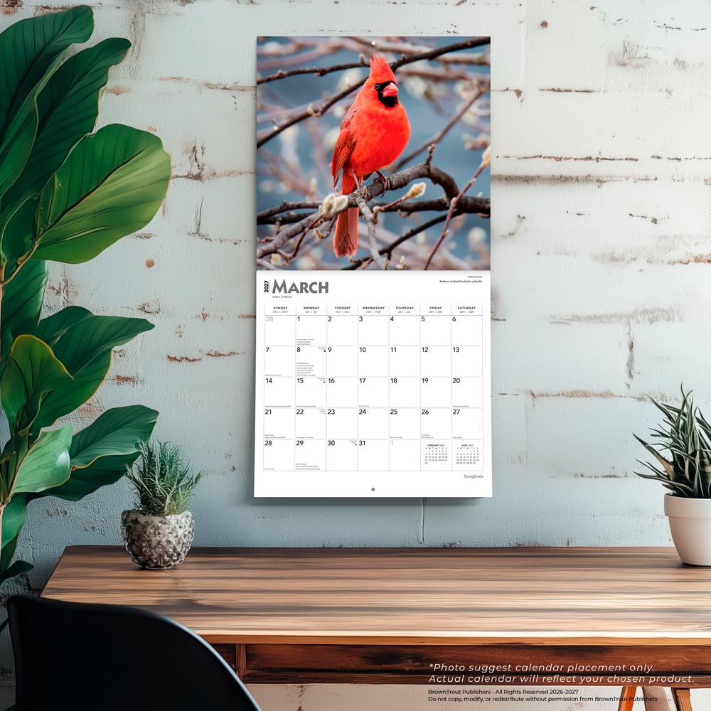 Songbirds | 2027 12 x 24 Inch (Hanging) Monthly Square Wall Calendar | Foil Stamped Cover