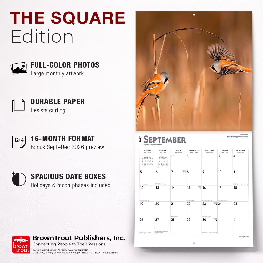 Songbirds | 2027 12 x 24 Inch (Hanging) Monthly Square Wall Calendar | Foil Stamped Cover
