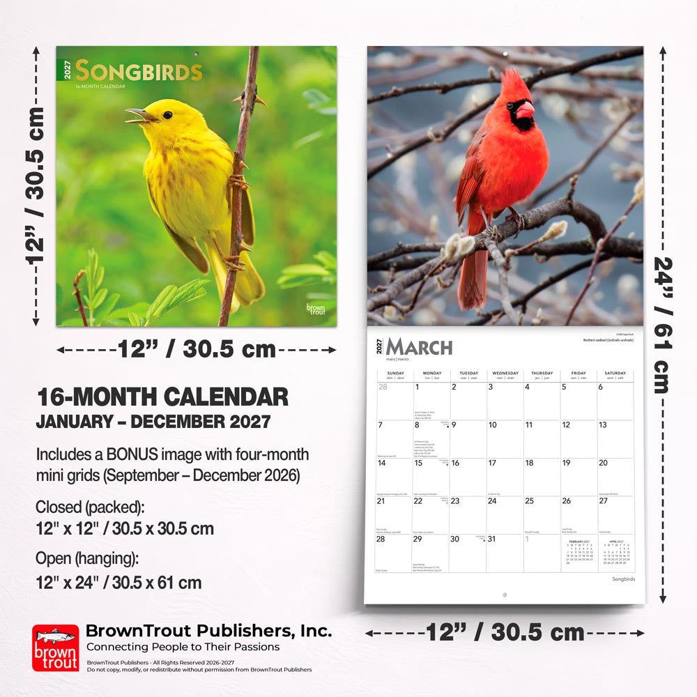Songbirds | 2027 12 x 24 Inch (Hanging) Monthly Square Wall Calendar | Foil Stamped Cover