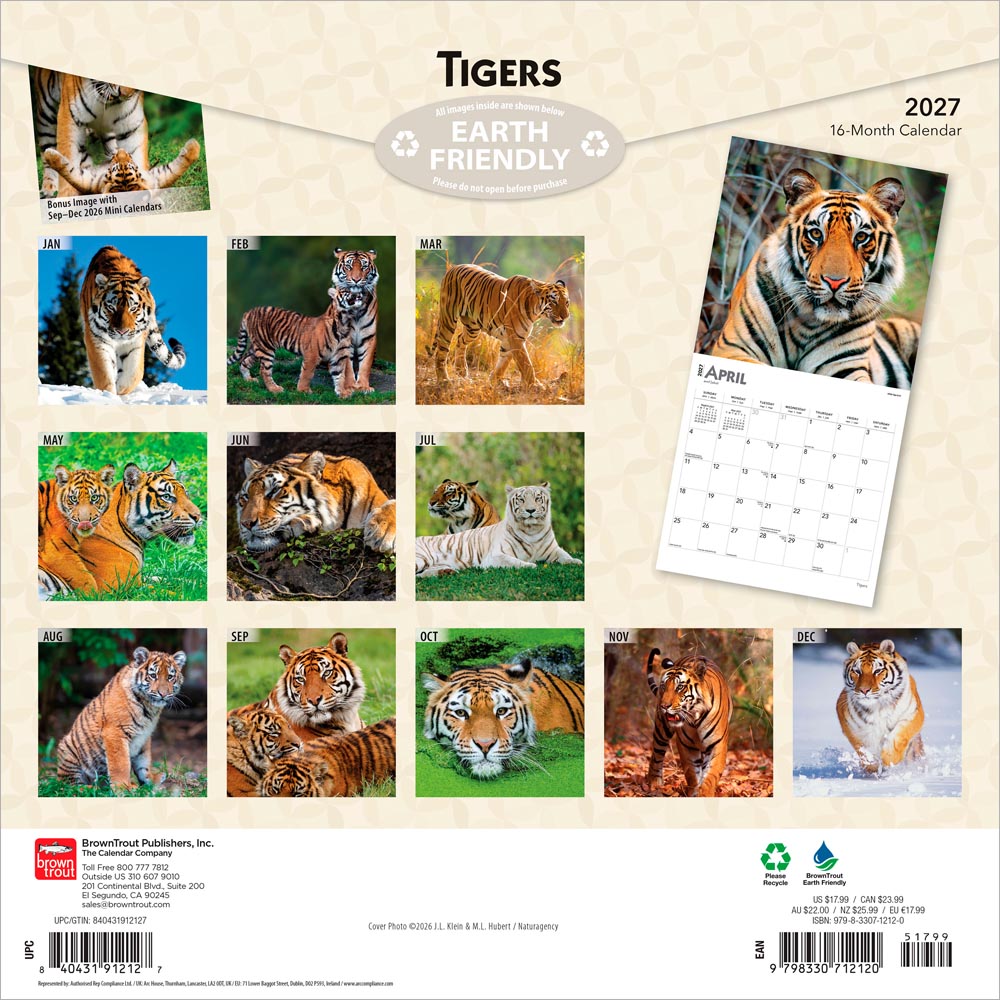 Tigers | 2027 12 x 24 Inch (Hanging) Monthly Square Wall Calendar