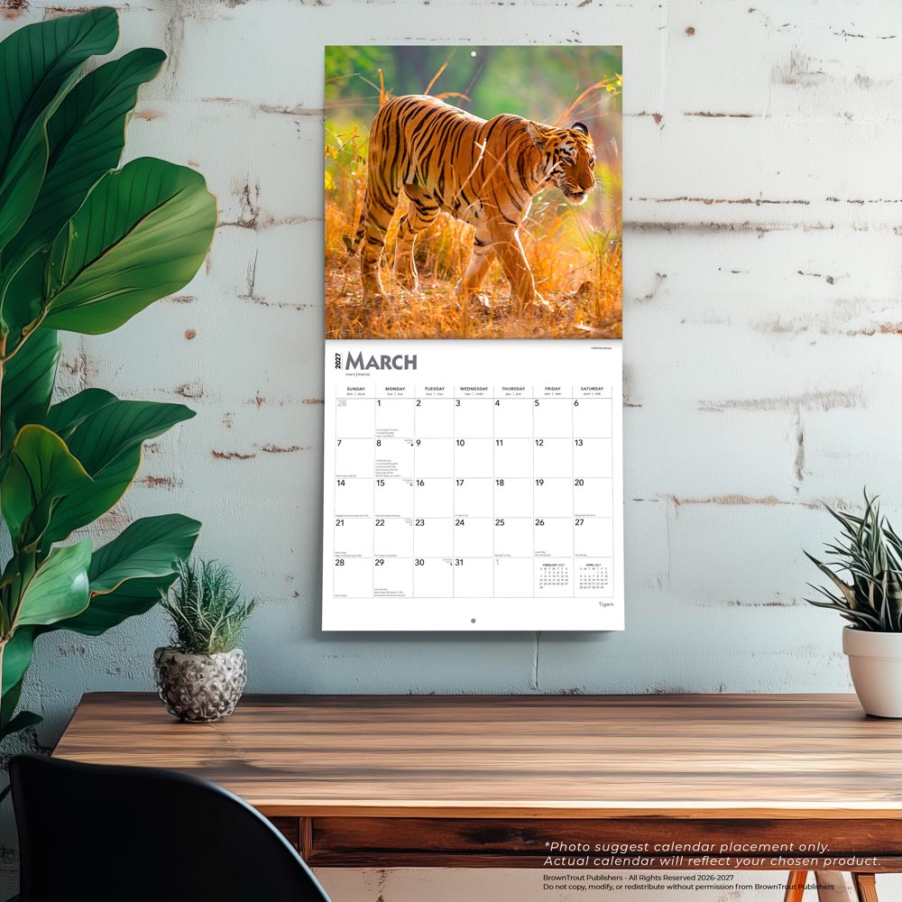 Tigers | 2027 12 x 24 Inch (Hanging) Monthly Square Wall Calendar