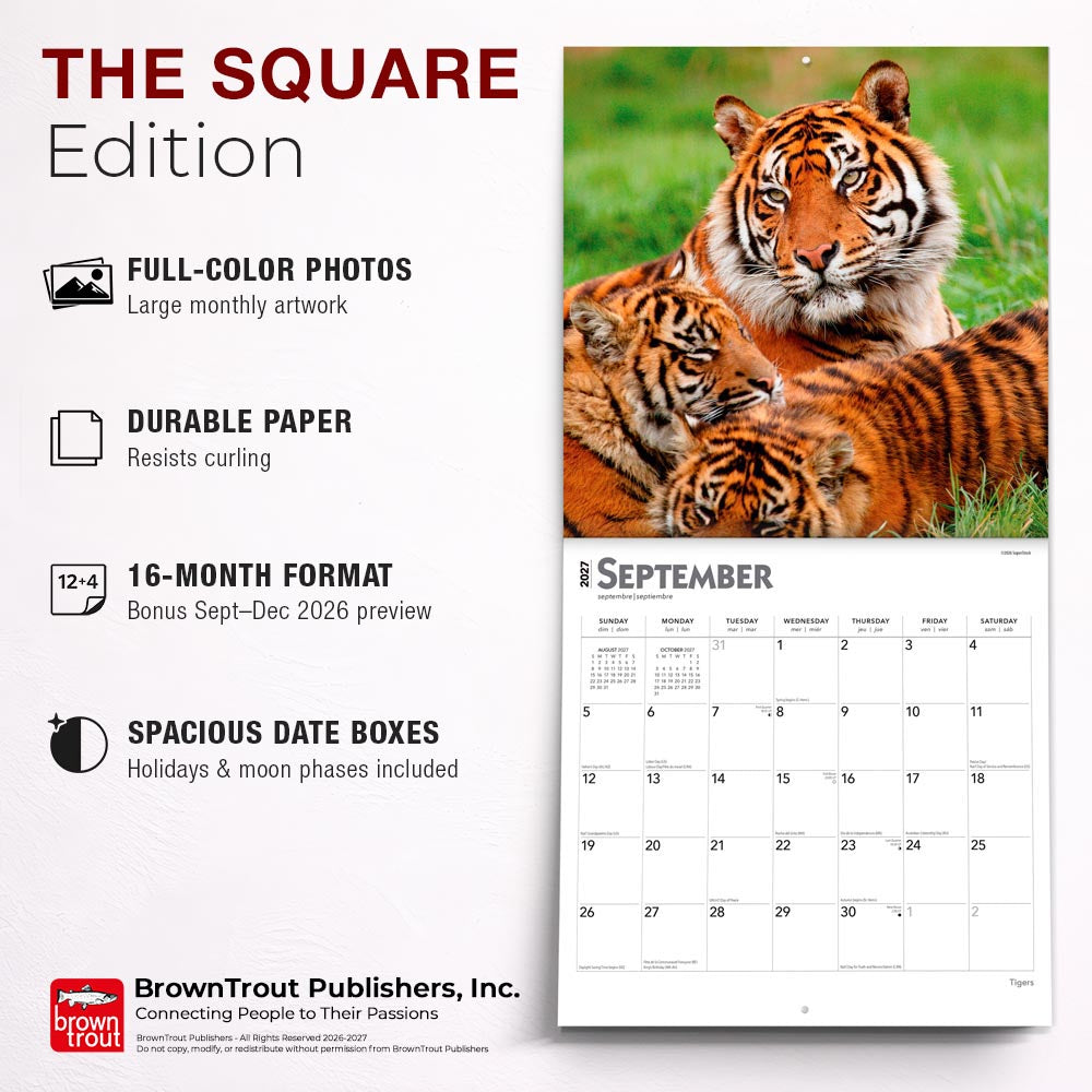 Tigers | 2027 12 x 24 Inch (Hanging) Monthly Square Wall Calendar