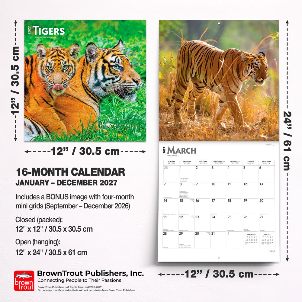 Tigers | 2027 12 x 24 Inch (Hanging) Monthly Square Wall Calendar