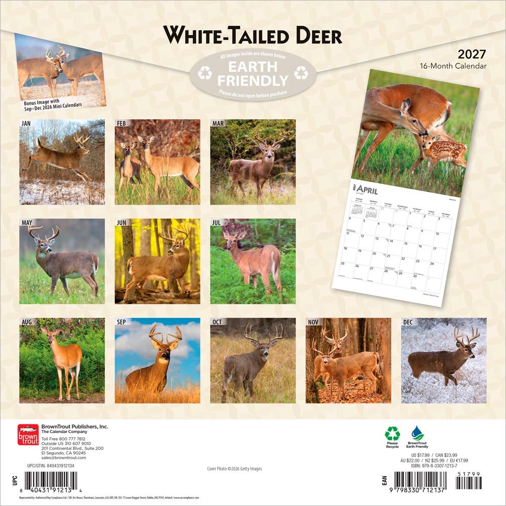 White Tailed Deer | 2027 12 x 24 Inch (Hanging) Monthly Square Wall Calendar