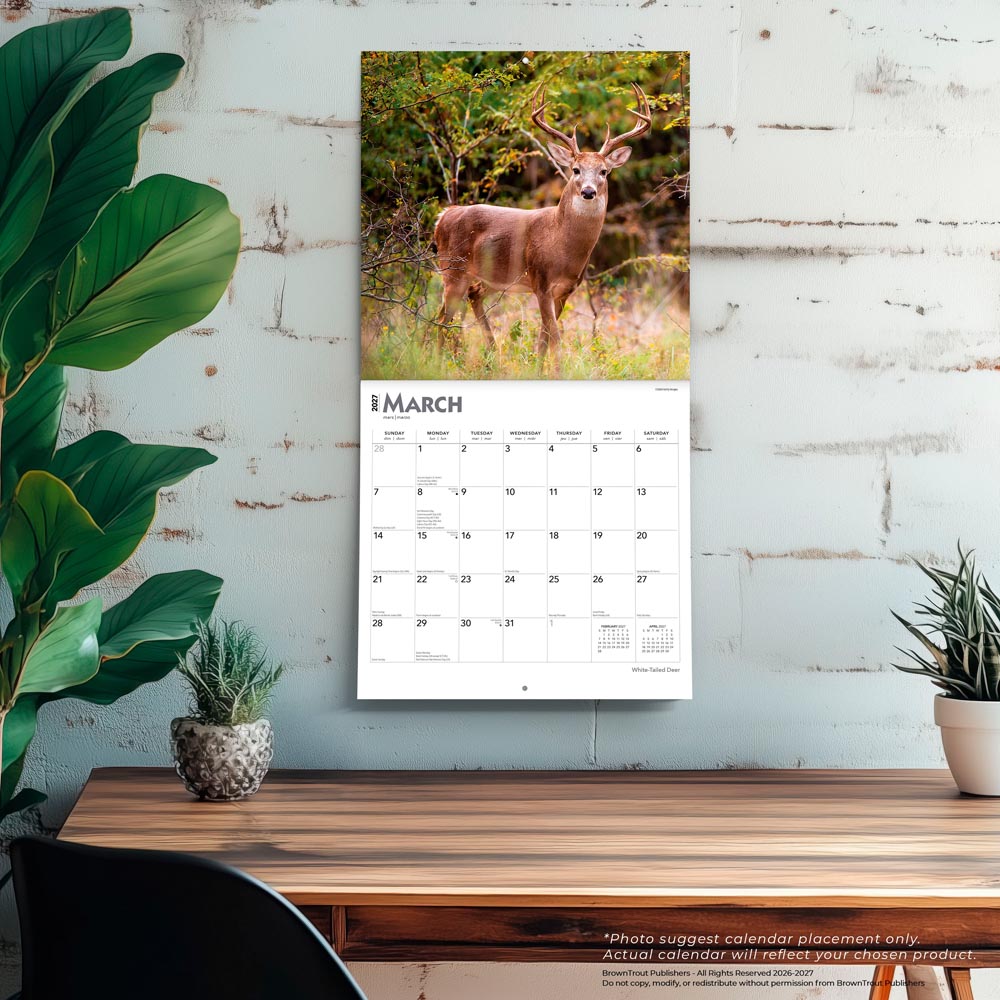 White Tailed Deer | 2027 12 x 24 Inch (Hanging) Monthly Square Wall Calendar