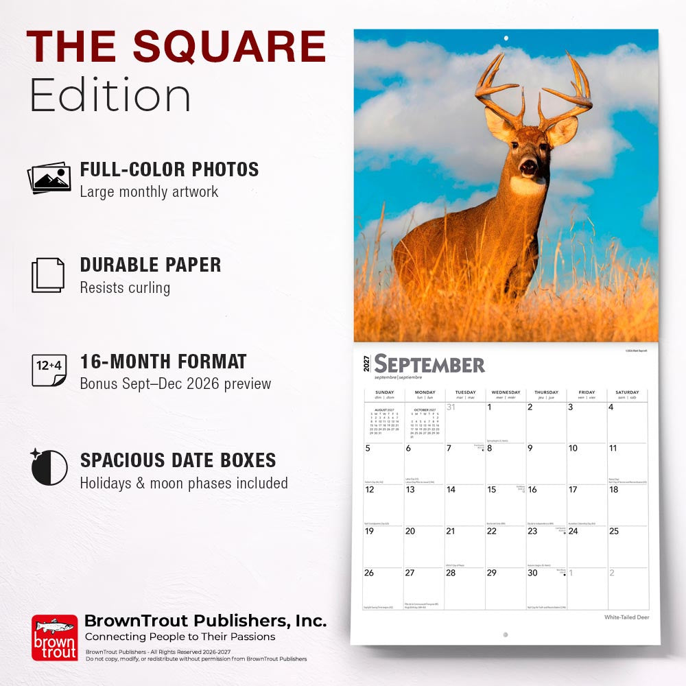 White Tailed Deer | 2027 12 x 24 Inch (Hanging) Monthly Square Wall Calendar