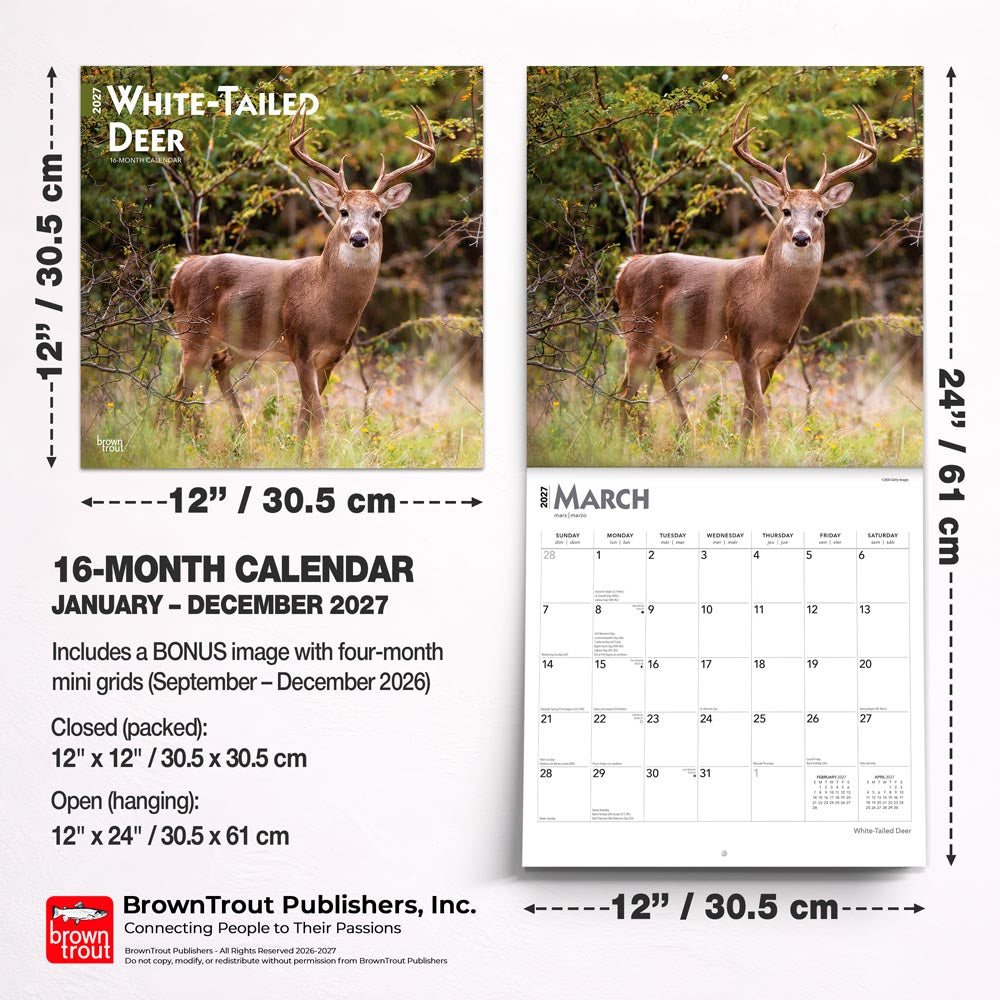 White Tailed Deer | 2027 12 x 24 Inch (Hanging) Monthly Square Wall Calendar