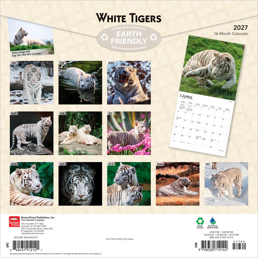 White Tigers | 2027 12 x 24 Inch (Hanging) Monthly Square Wall Calendar
