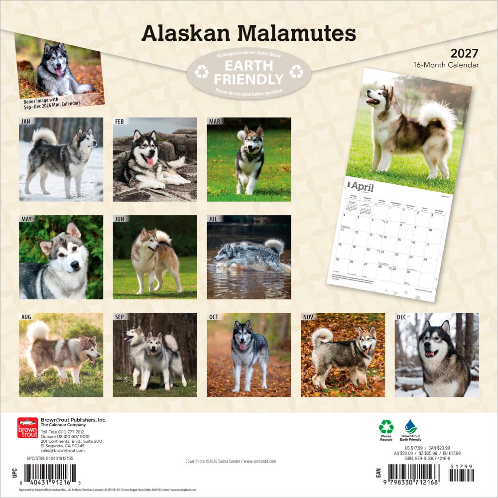 Alaskan Malamutes | 2027 12 x 24 Inch (Hanging) Monthly Square Wall Calendar