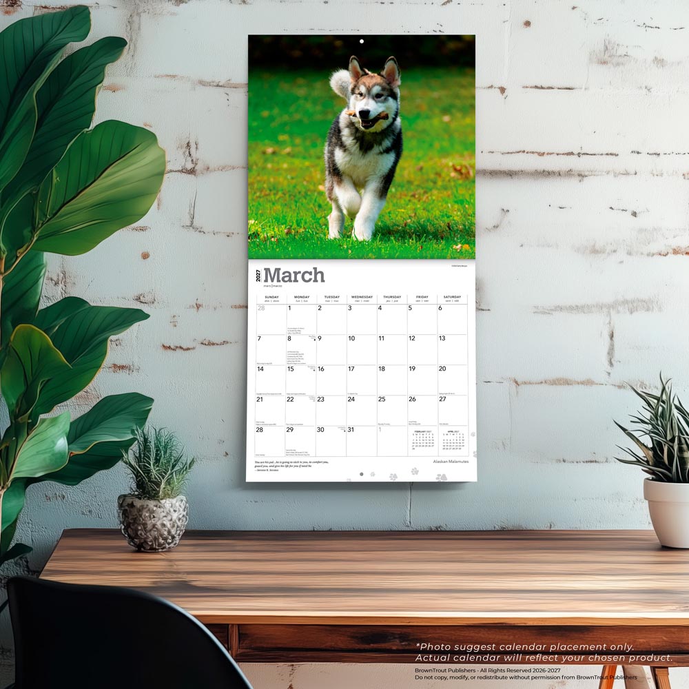Alaskan Malamutes | 2027 12 x 24 Inch (Hanging) Monthly Square Wall Calendar