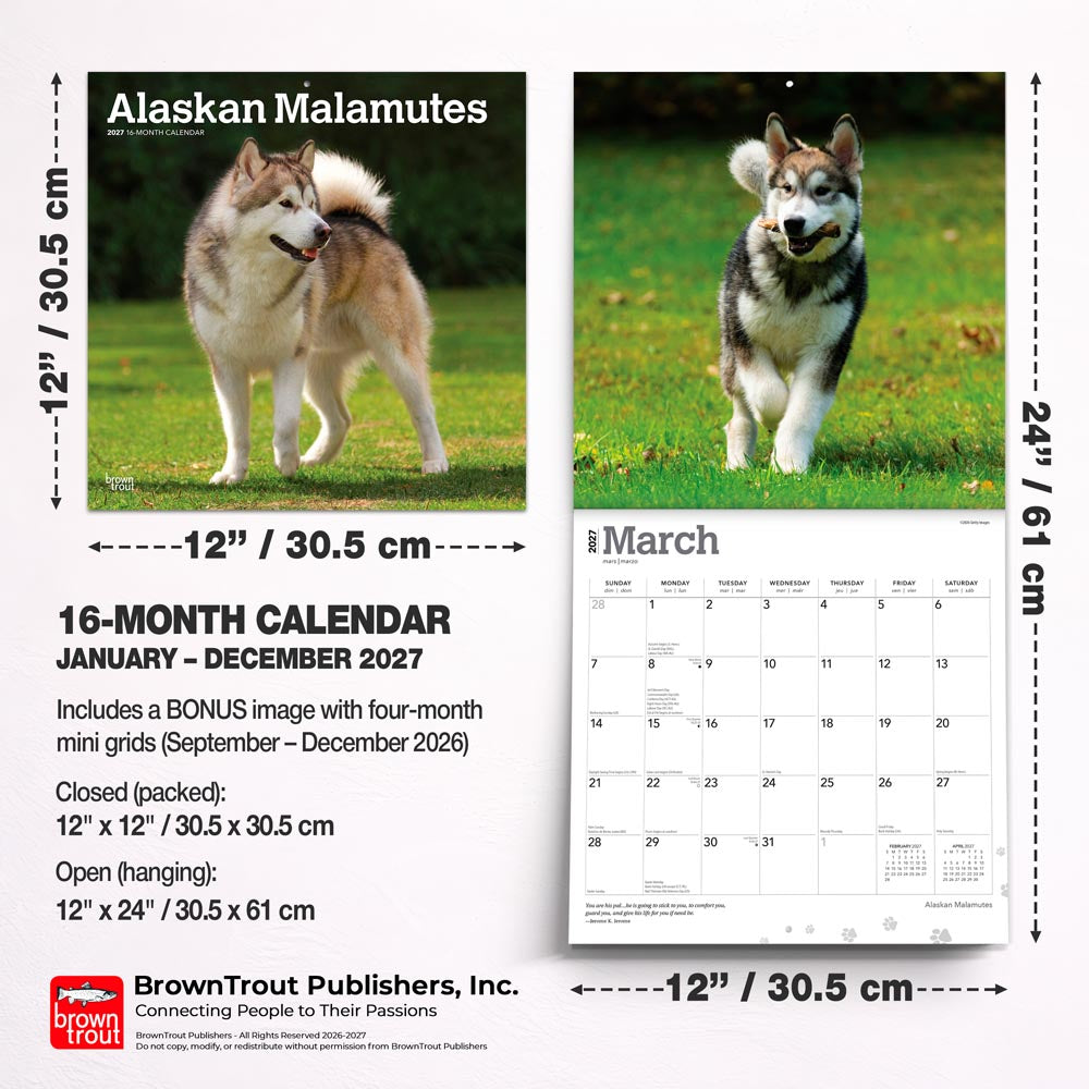 Alaskan Malamutes | 2027 12 x 24 Inch (Hanging) Monthly Square Wall Calendar