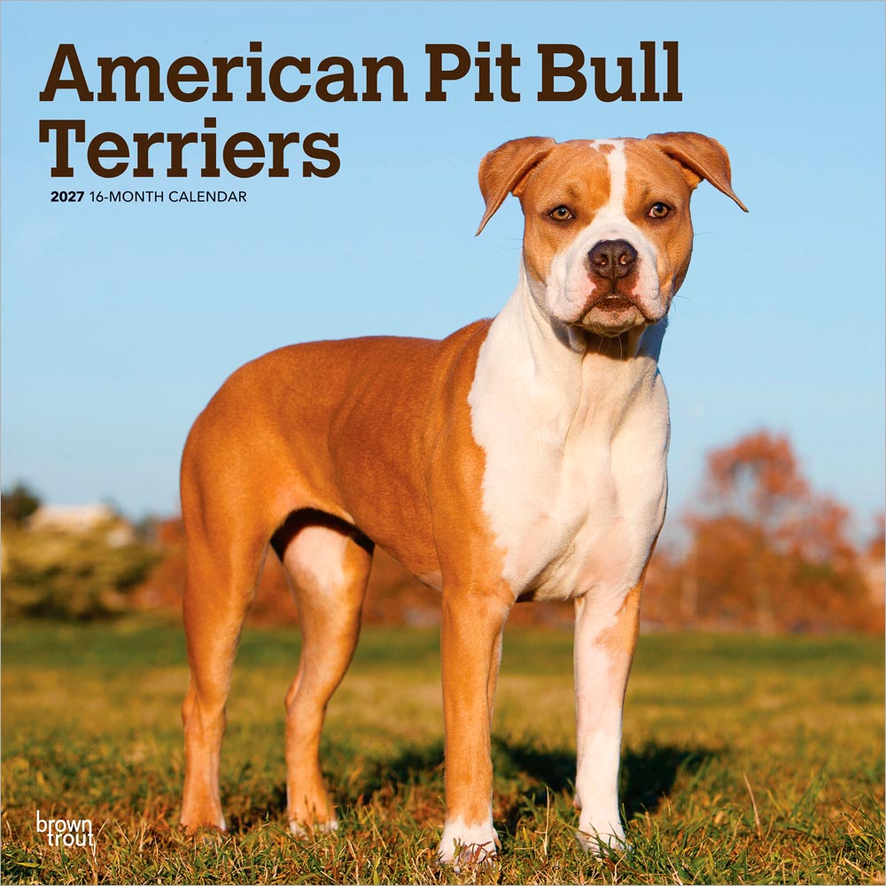 American Pit Bull Terriers | 2027 12 x 24 Inch (Hanging) Monthly Square Wall Calendar