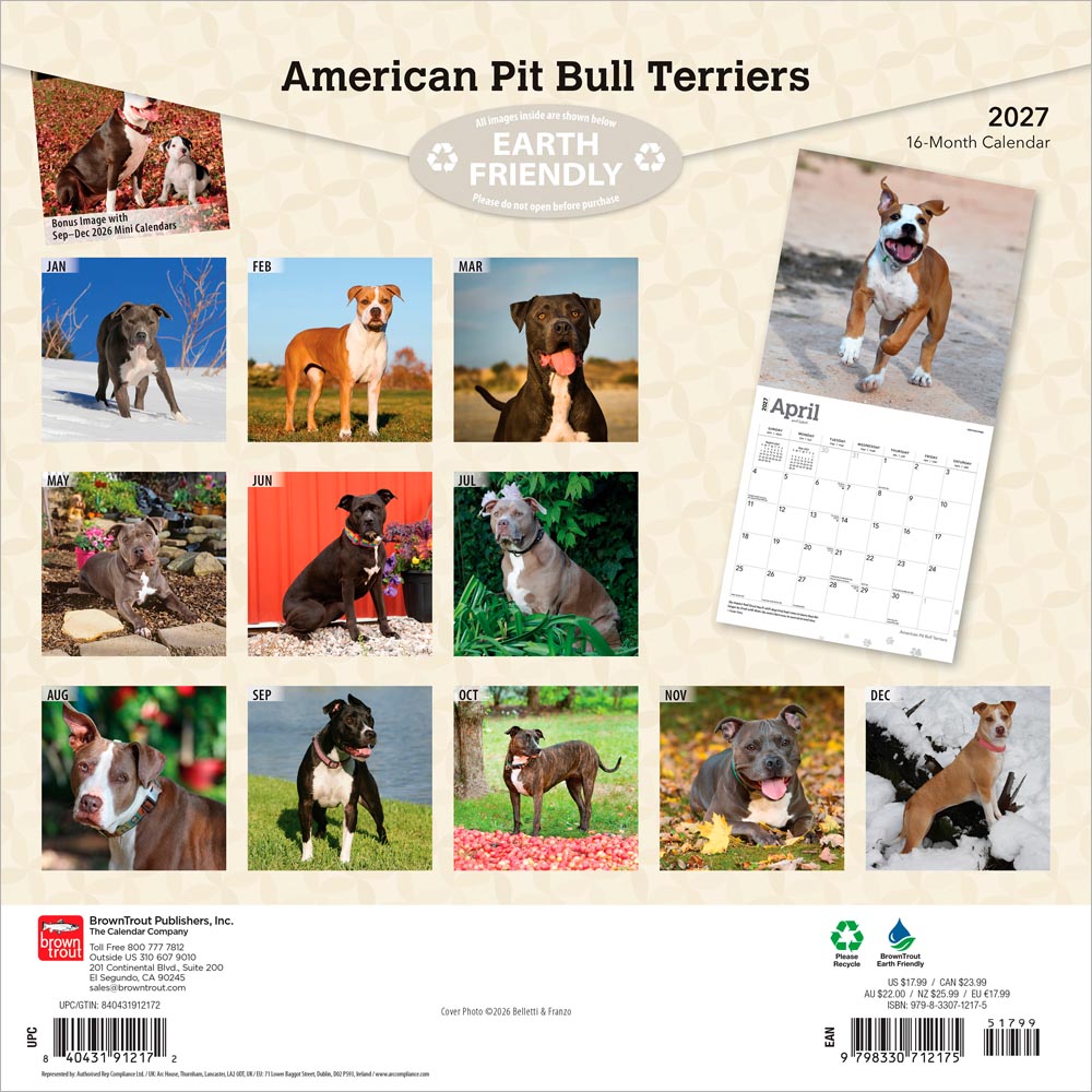 American Pit Bull Terriers | 2027 12 x 24 Inch (Hanging) Monthly Square Wall Calendar