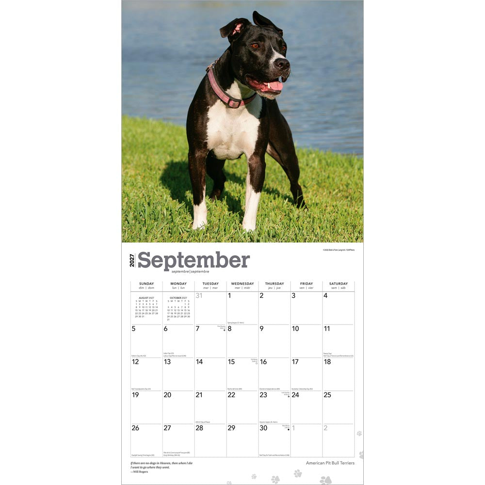American Pit Bull Terriers | 2027 12 x 24 Inch (Hanging) Monthly Square Wall Calendar