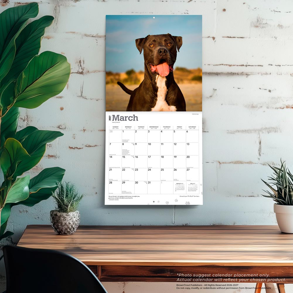American Pit Bull Terriers | 2027 12 x 24 Inch (Hanging) Monthly Square Wall Calendar