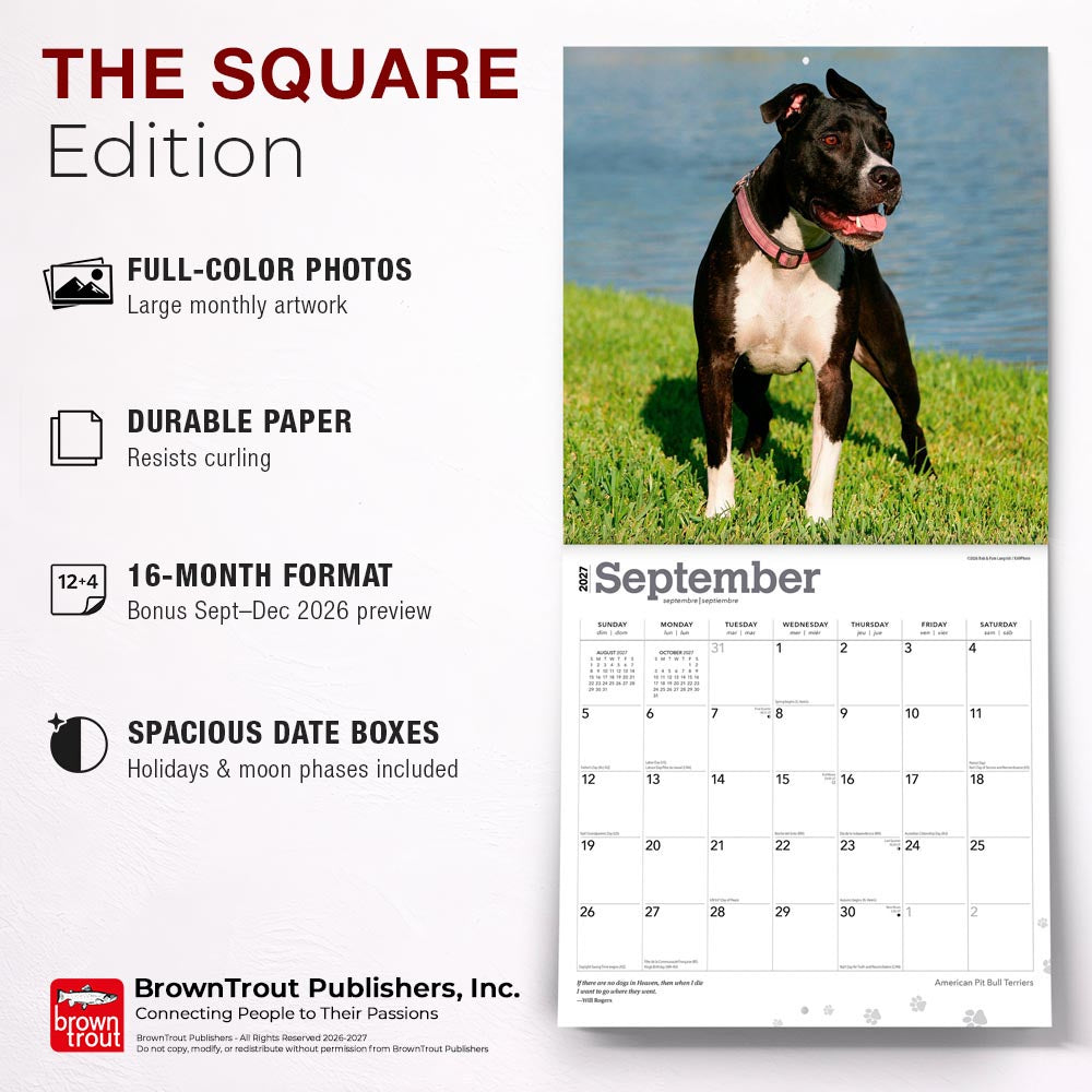 American Pit Bull Terriers | 2027 12 x 24 Inch (Hanging) Monthly Square Wall Calendar