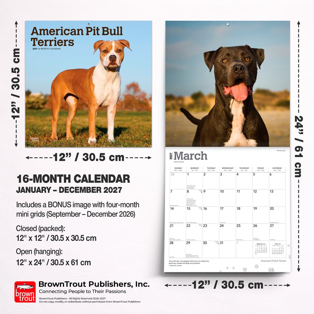 American Pit Bull Terriers | 2027 12 x 24 Inch (Hanging) Monthly Square Wall Calendar