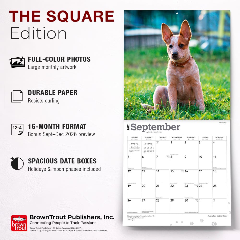 Australian Cattle Dogs | 2027 12 x 24 Inch (Hanging) Monthly Square Wall Calendar