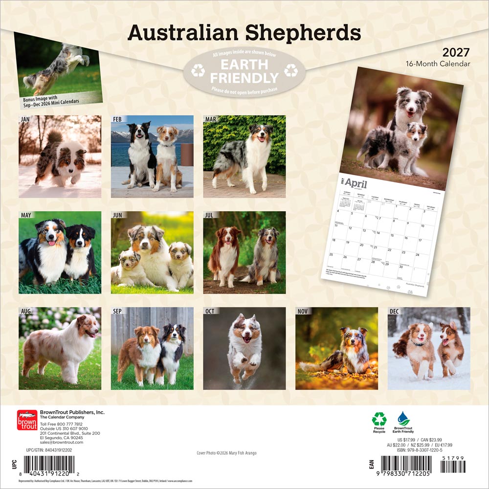 Australian Shepherds | 2027 12 x 24 Inch (Hanging) Monthly Square Wall Calendar