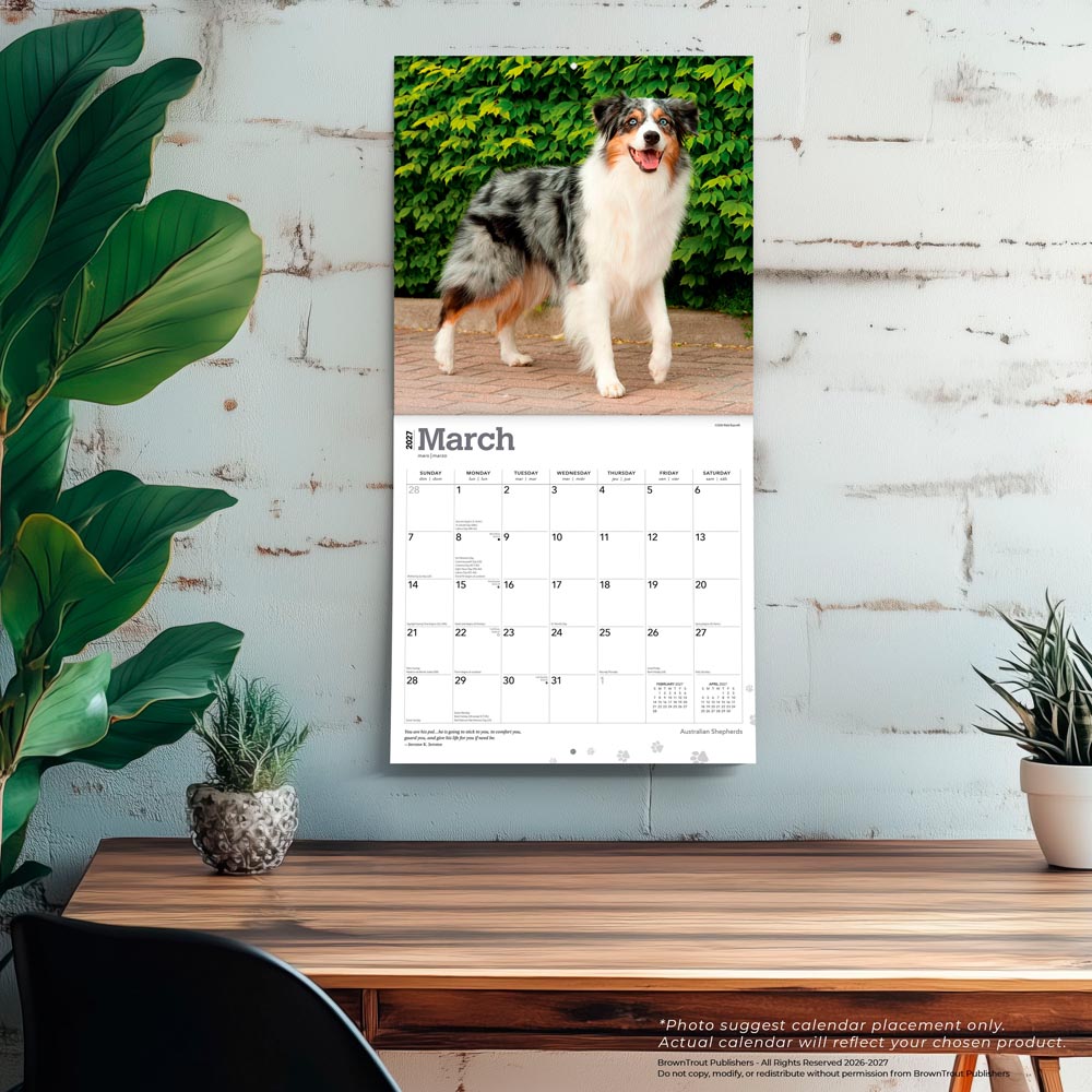 Australian Shepherds | 2027 12 x 24 Inch (Hanging) Monthly Square Wall Calendar