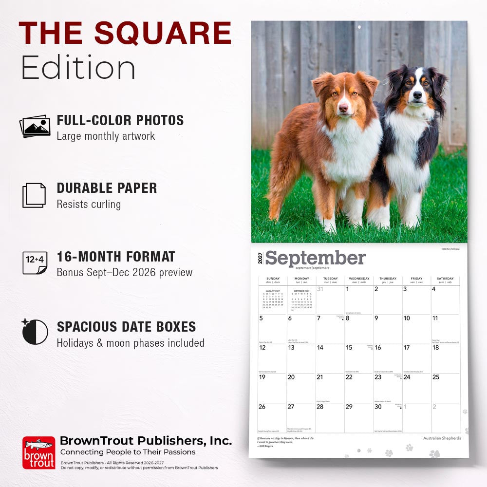 Australian Shepherds | 2027 12 x 24 Inch (Hanging) Monthly Square Wall Calendar