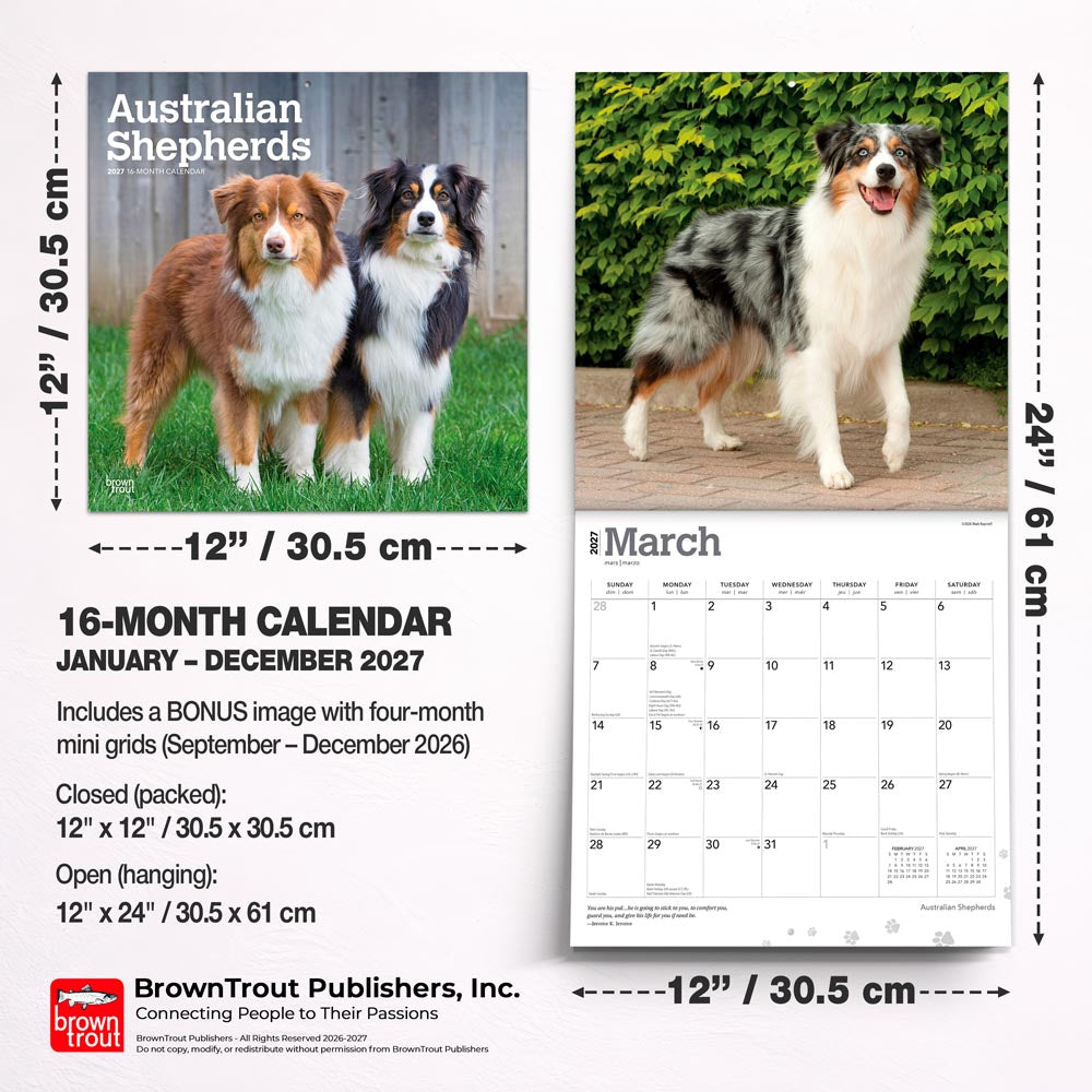 Australian Shepherds | 2027 12 x 24 Inch (Hanging) Monthly Square Wall Calendar
