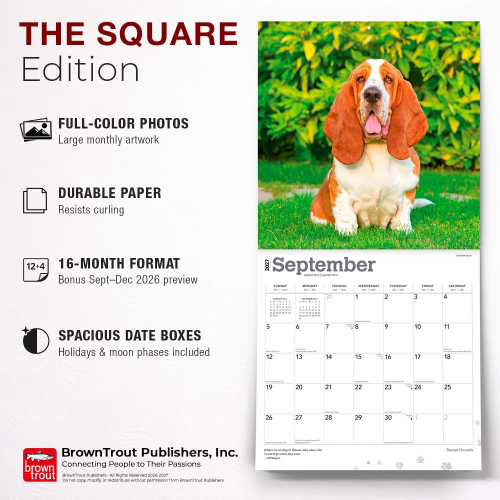 Basset Hounds | 2027 12 x 24 Inch (Hanging) Monthly Square Wall Calendar