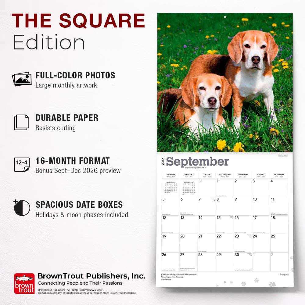 Beagles | 2027 12 x 24 Inch (Hanging) Monthly Square Wall Calendar