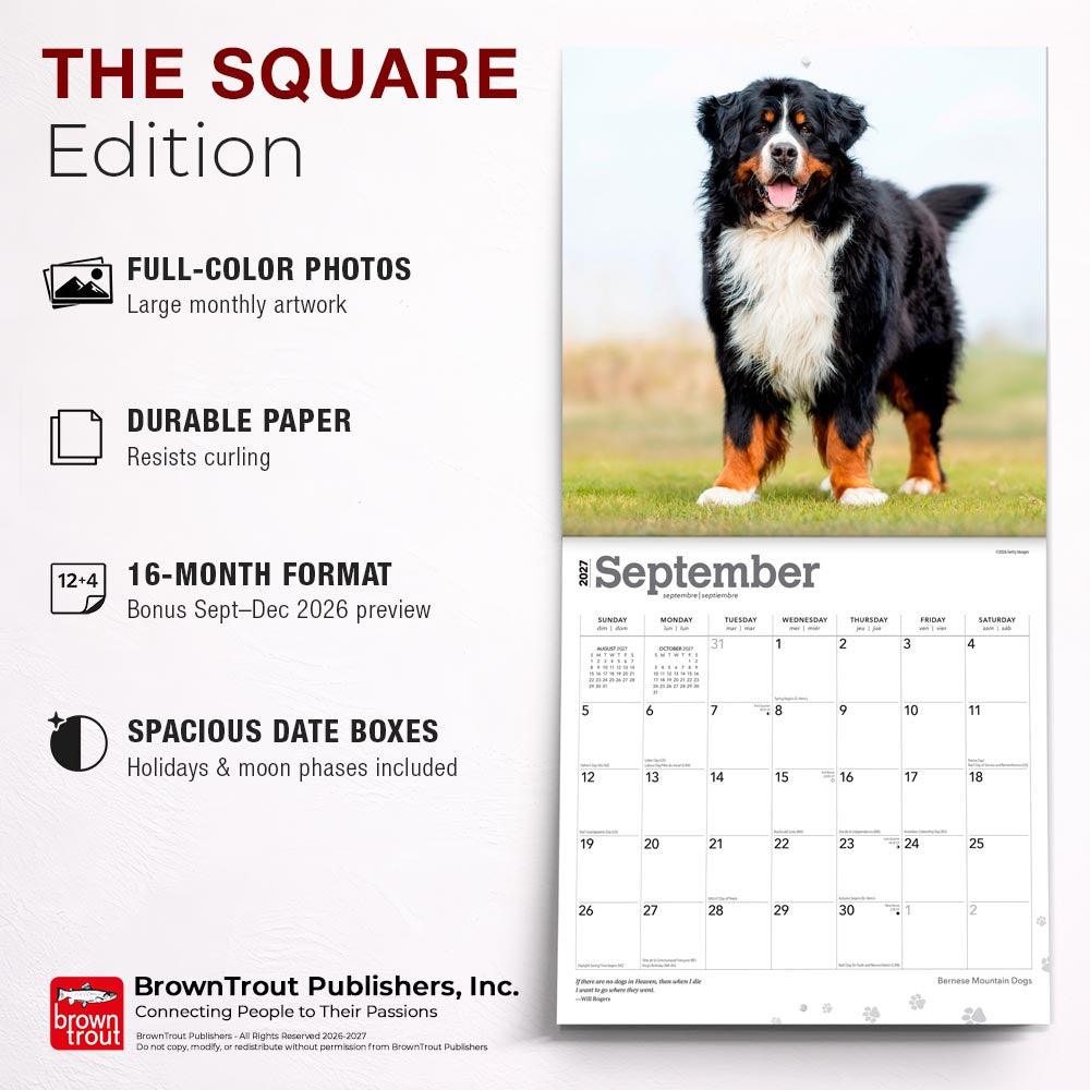 Bernese Mountain Dogs | 2027 12 x 24 Inch (Hanging) Monthly Square Wall Calendar