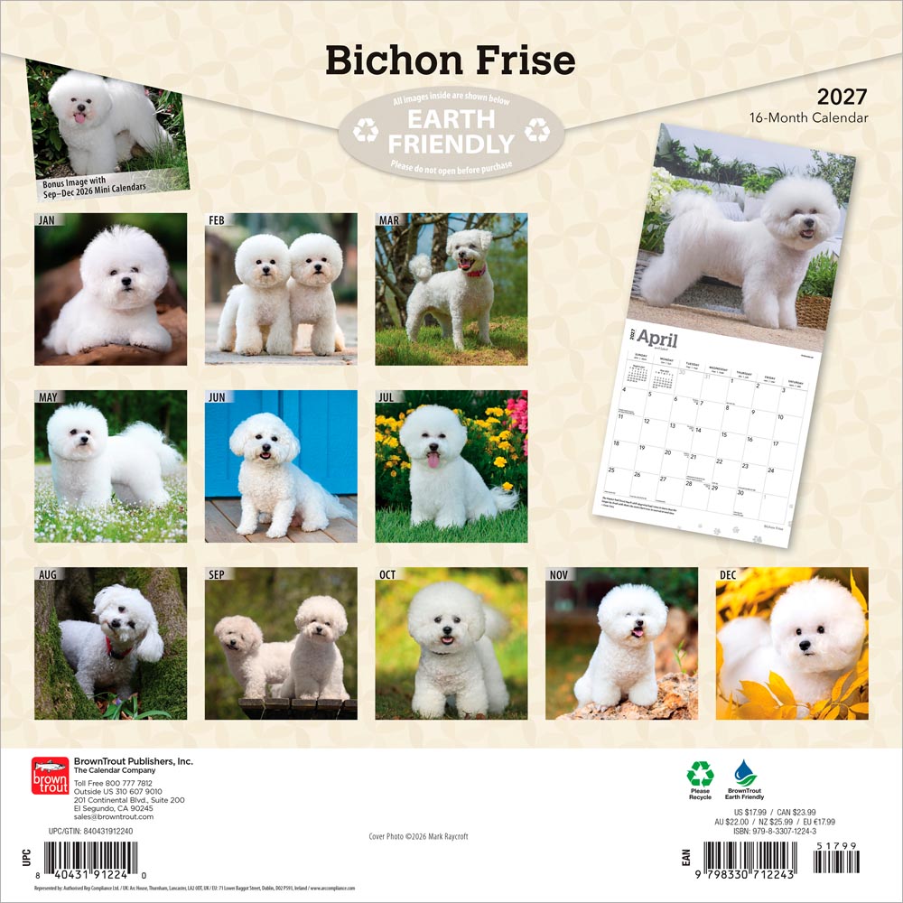 Bichon Frise | 2027 12 x 24 Inch (Hanging) Monthly Square Wall Calendar