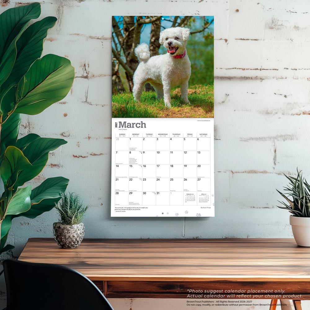 Bichon Frise | 2027 12 x 24 Inch (Hanging) Monthly Square Wall Calendar