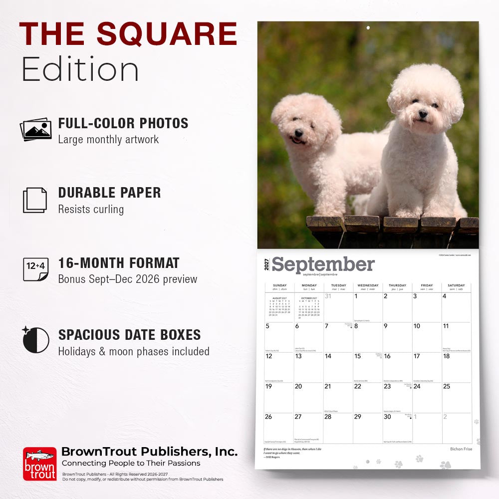 Bichon Frise | 2027 12 x 24 Inch (Hanging) Monthly Square Wall Calendar