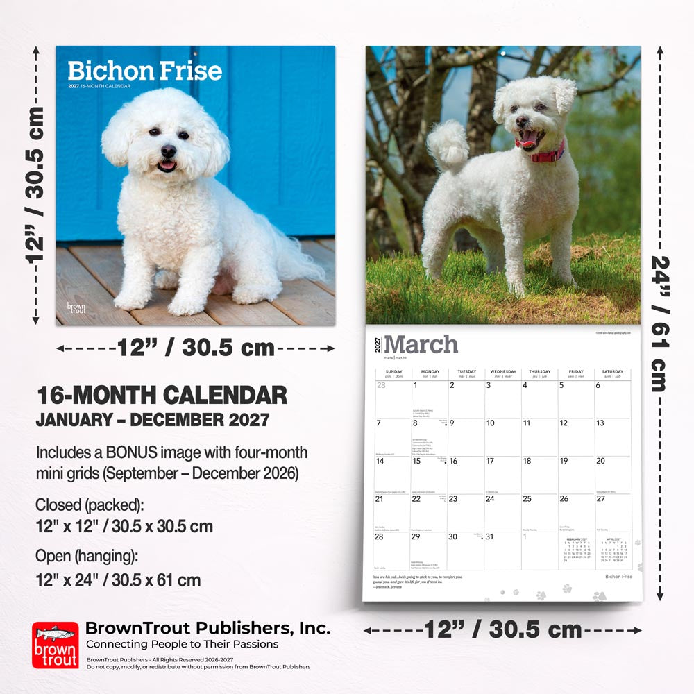 Bichon Frise | 2027 12 x 24 Inch (Hanging) Monthly Square Wall Calendar