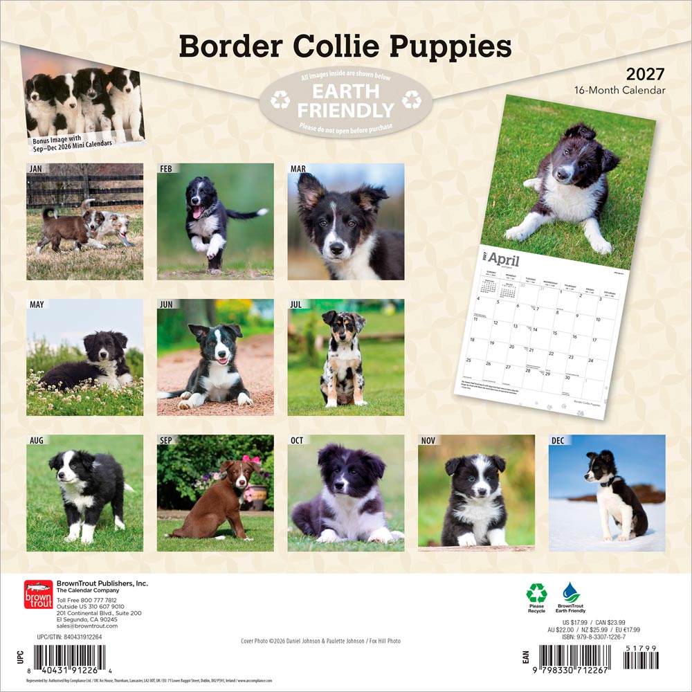 Border Collie Puppies | 2027 12 x 24 Inch (Hanging) Monthly Square Wall Calendar