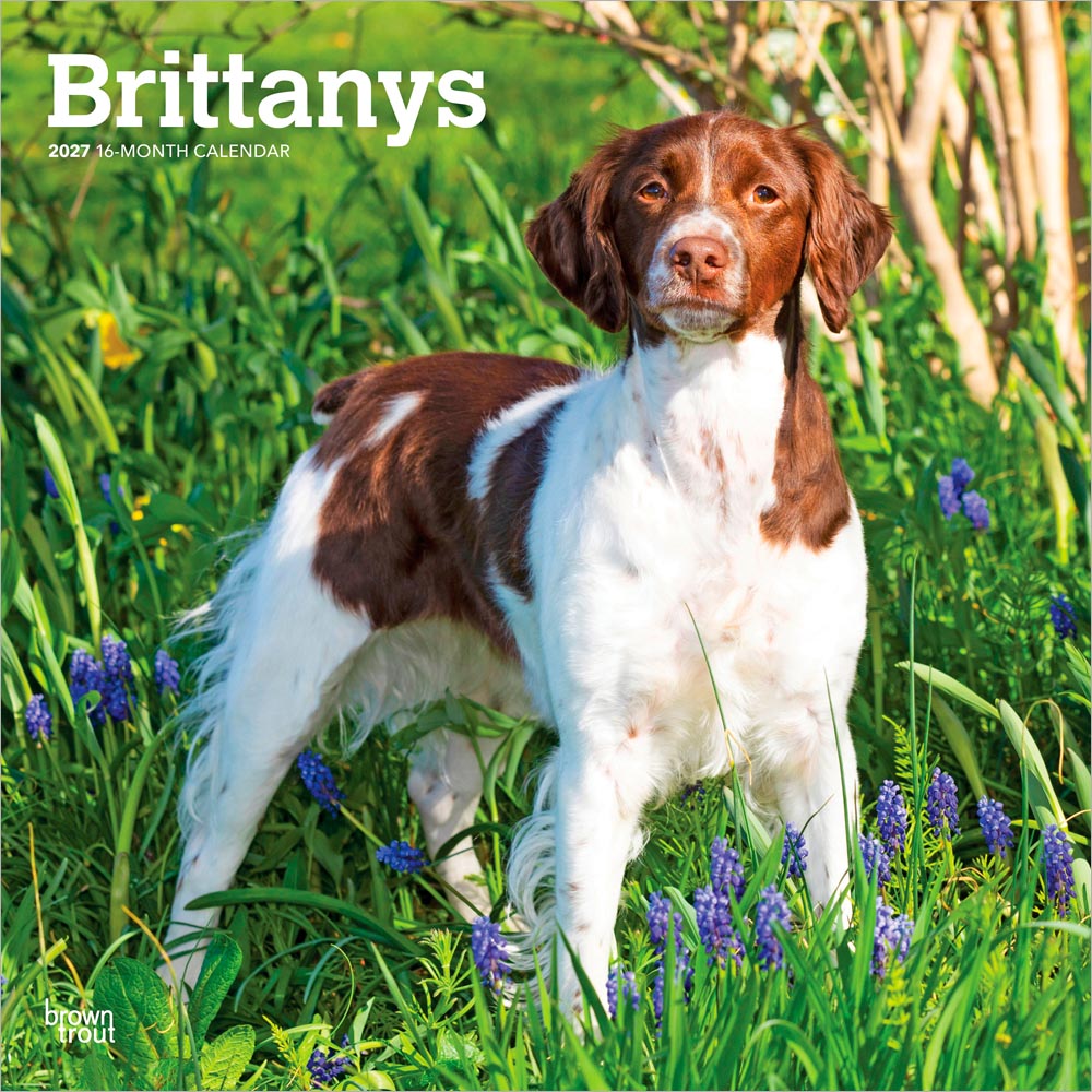 Brittanys | 2027 12 x 24 Inch (Hanging) Monthly Square Wall Calendar