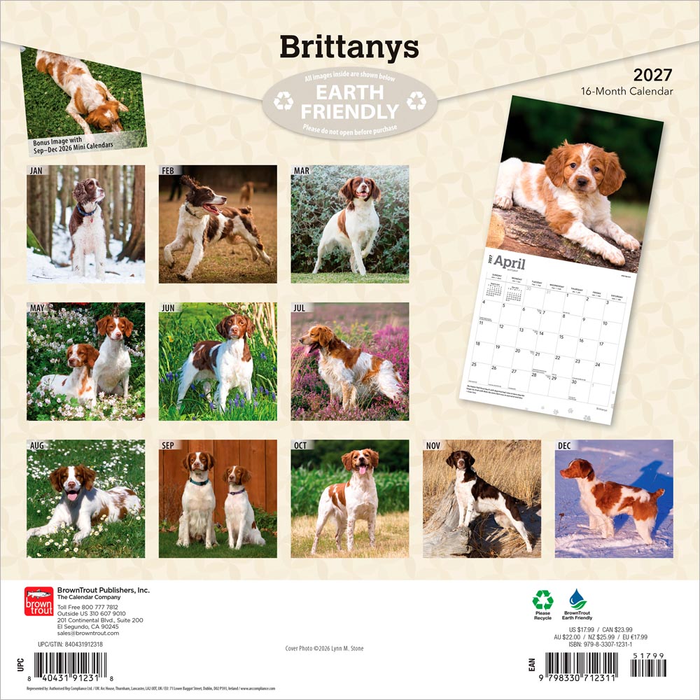 Brittanys | 2027 12 x 24 Inch (Hanging) Monthly Square Wall Calendar