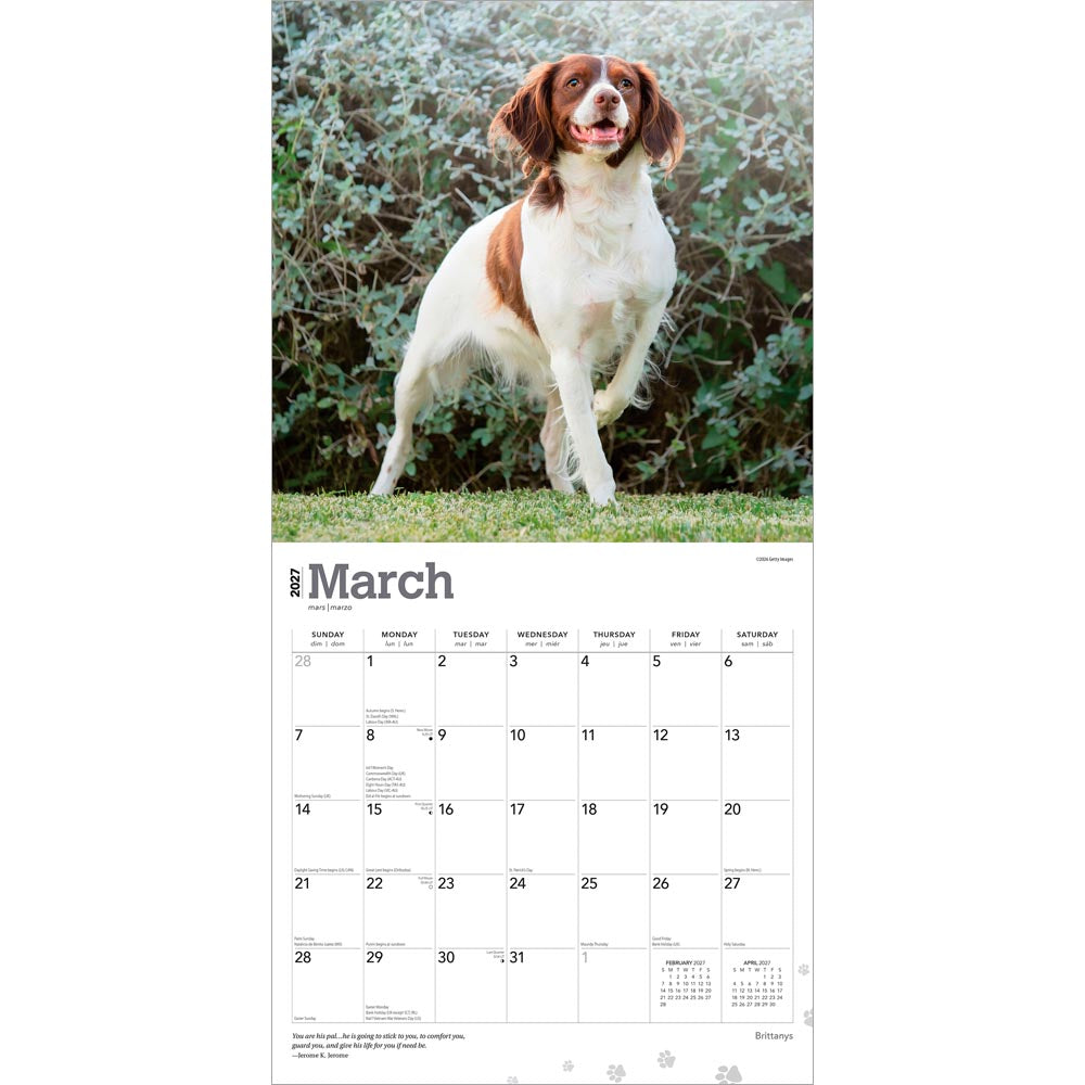 Brittanys | 2027 12 x 24 Inch (Hanging) Monthly Square Wall Calendar