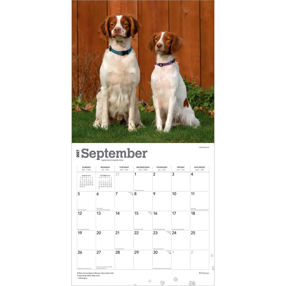 Brittanys | 2027 12 x 24 Inch (Hanging) Monthly Square Wall Calendar