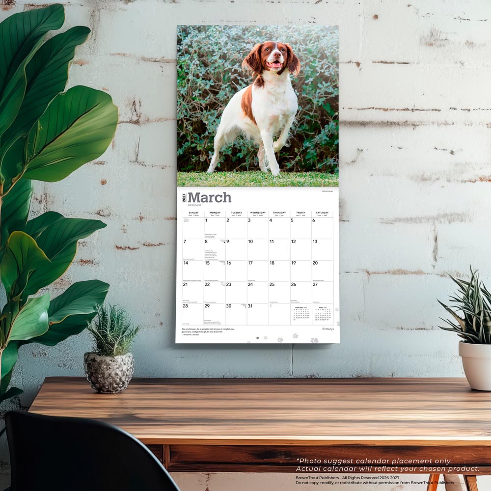 Brittanys | 2027 12 x 24 Inch (Hanging) Monthly Square Wall Calendar