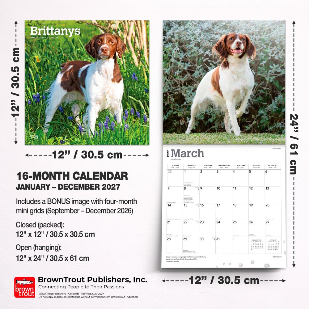 Brittanys | 2027 12 x 24 Inch (Hanging) Monthly Square Wall Calendar