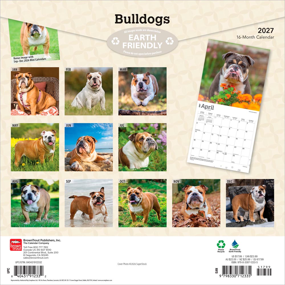 Bulldogs | 2027 12 x 24 Inch (Hanging) Monthly Square Wall Calendar
