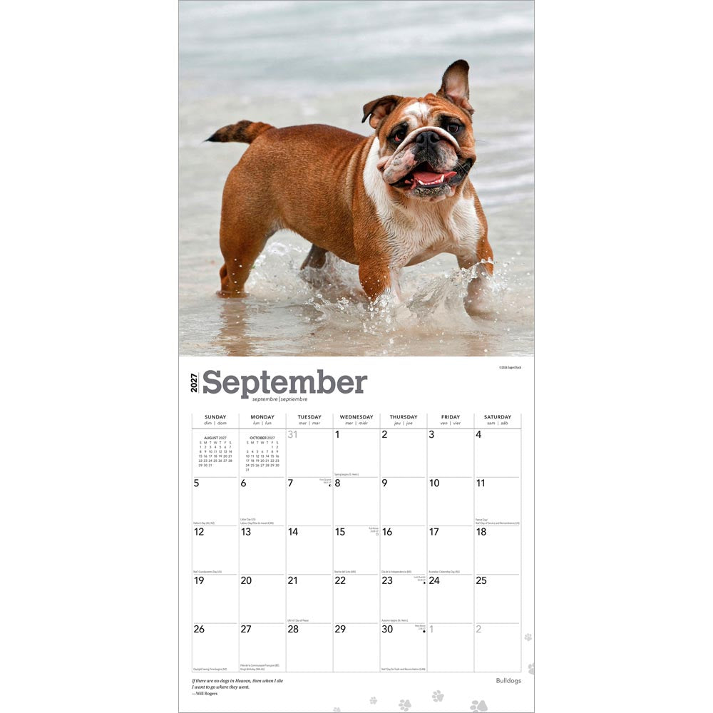 Bulldogs | 2027 12 x 24 Inch (Hanging) Monthly Square Wall Calendar