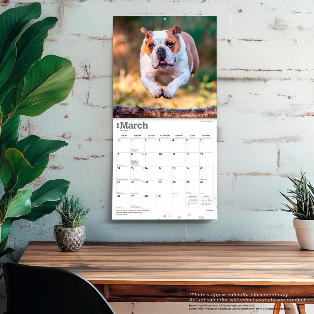 Bulldogs | 2027 12 x 24 Inch (Hanging) Monthly Square Wall Calendar