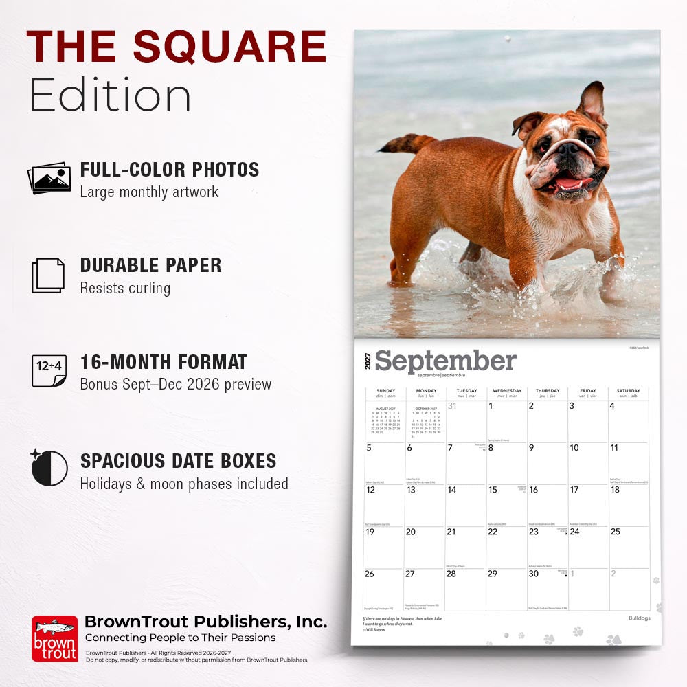 Bulldogs | 2027 12 x 24 Inch (Hanging) Monthly Square Wall Calendar