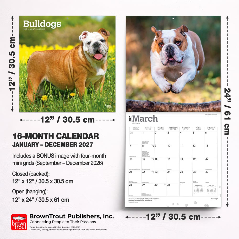 Bulldogs | 2027 12 x 24 Inch (Hanging) Monthly Square Wall Calendar
