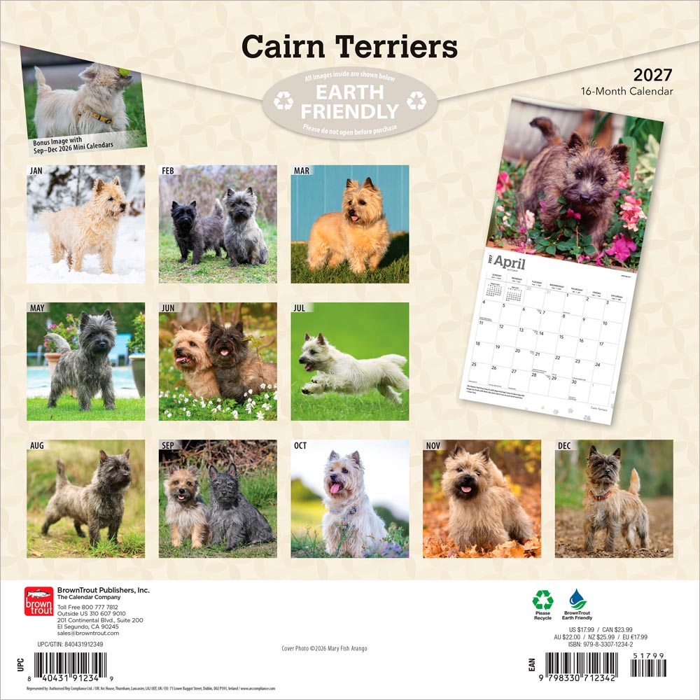 Cairn Terriers | 2027 12 x 24 Inch (Hanging) Monthly Square Wall Calendar