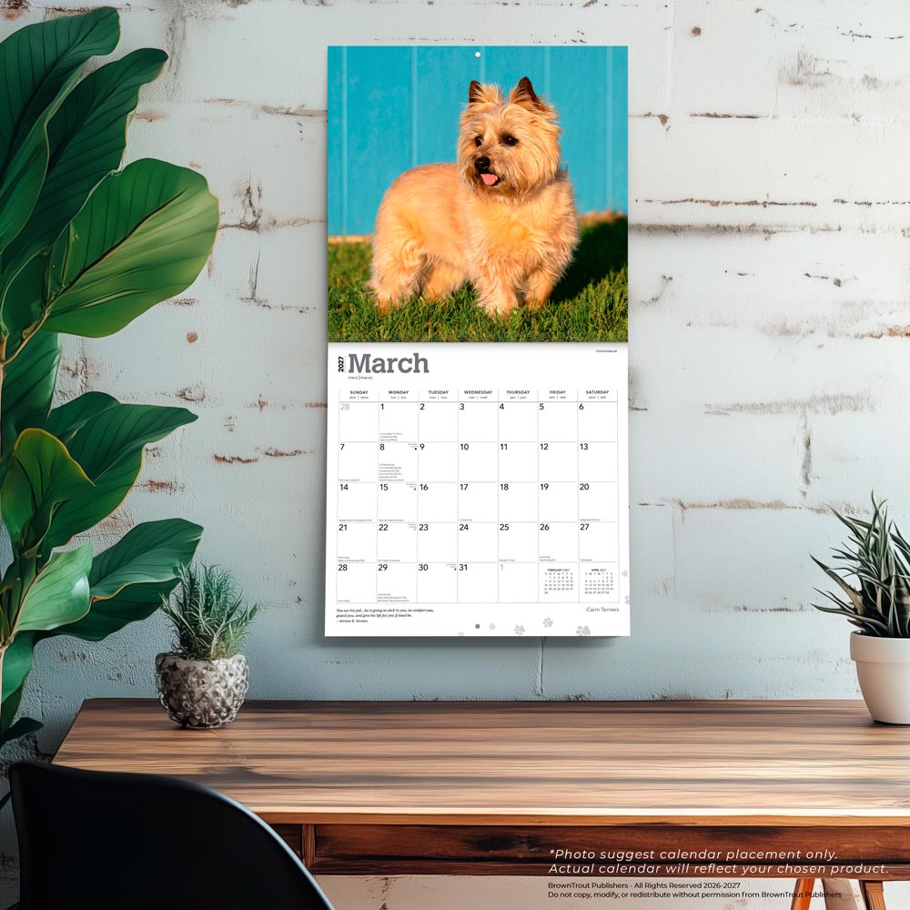 Cairn Terriers | 2027 12 x 24 Inch (Hanging) Monthly Square Wall Calendar
