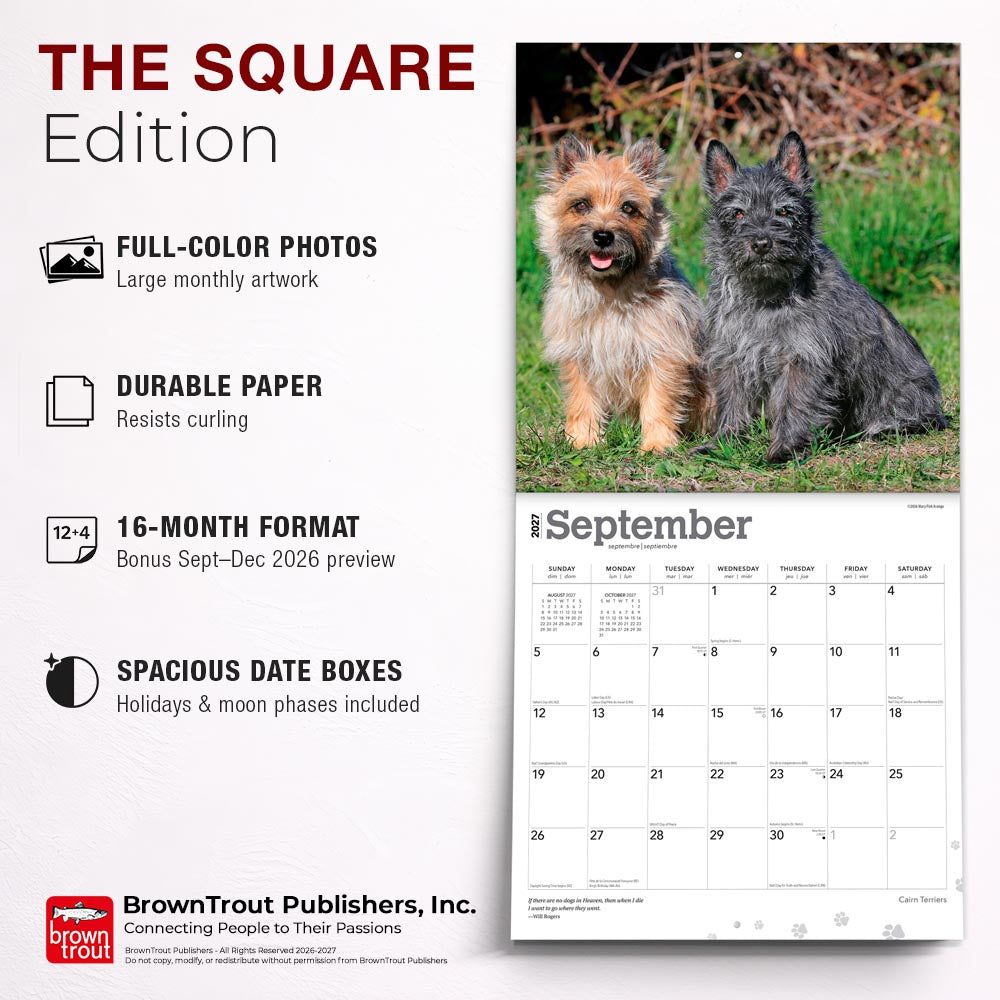 Cairn Terriers | 2027 12 x 24 Inch (Hanging) Monthly Square Wall Calendar