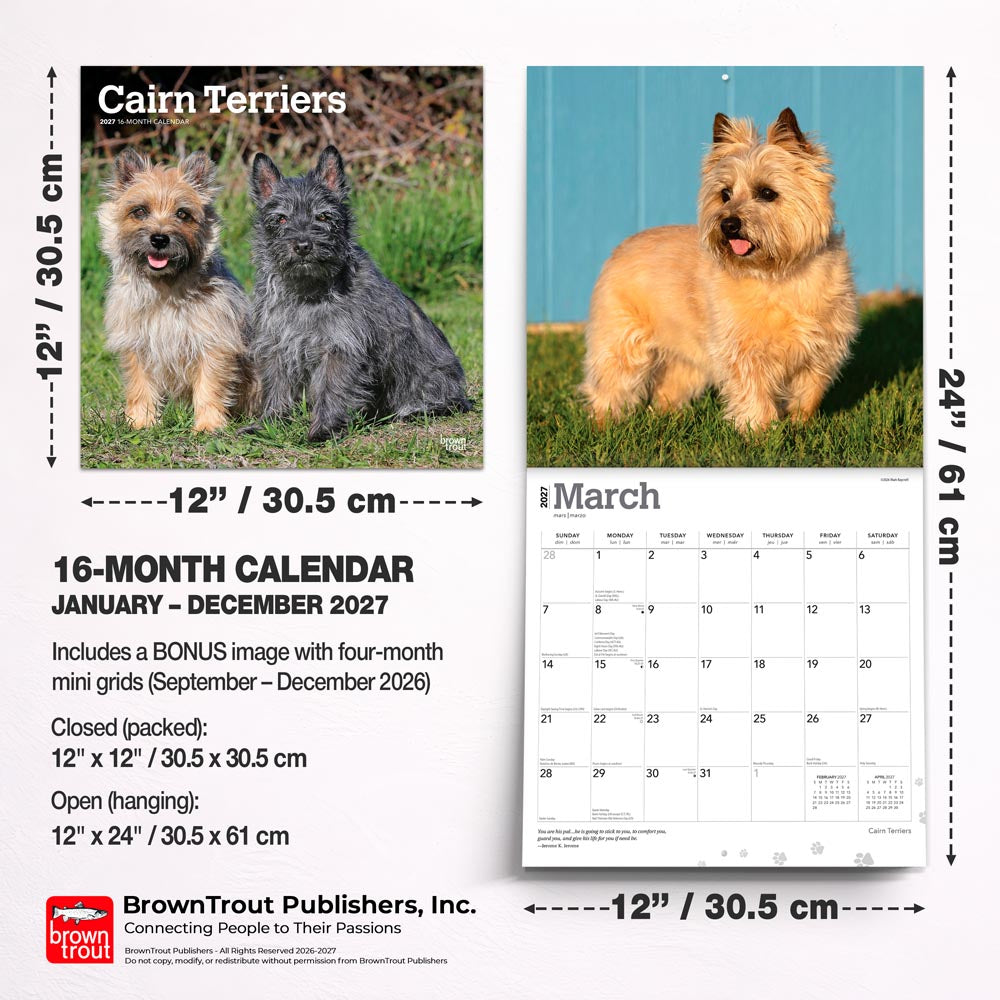 Cairn Terriers | 2027 12 x 24 Inch (Hanging) Monthly Square Wall Calendar